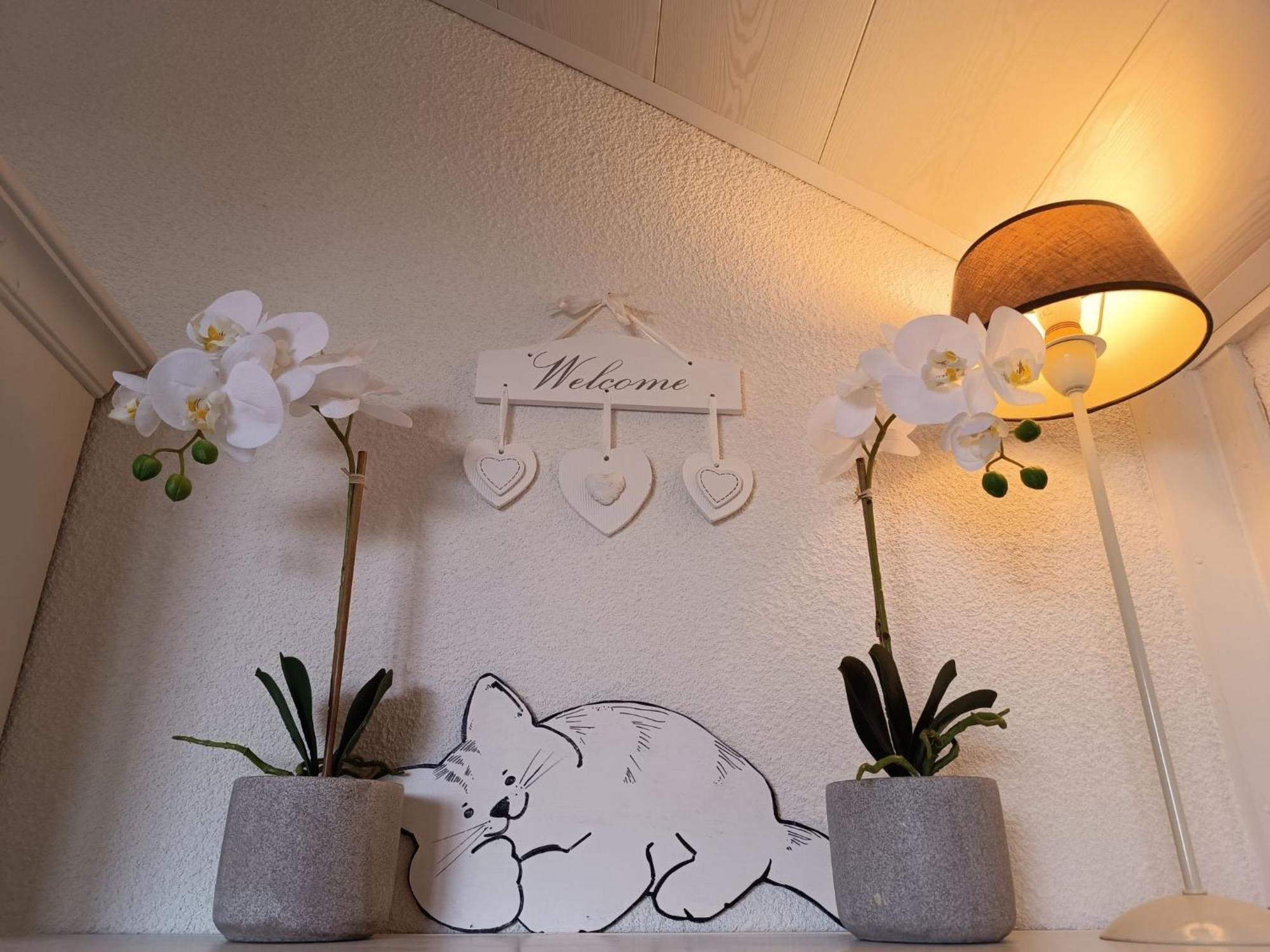 Apartment Luna By Interhome เดอฮาน ภายนอก รูปภาพ